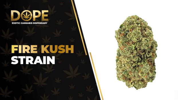 Fire Kush Strain: Genetics, Effects, Flavor & THCA Flower