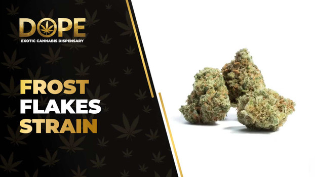 Frost Flakes Strain: Flavor, Effects & THCA Flower Guide