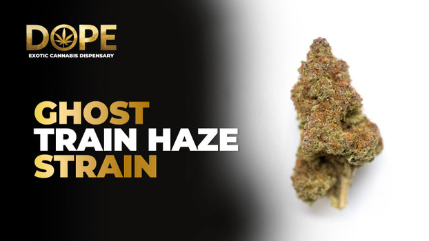 Ghost Train Haze Strain Review: Effects, and Grow Info