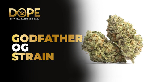 Godfather OG Strain Review | Flavor, Effects, THC Levels & Grow Guide