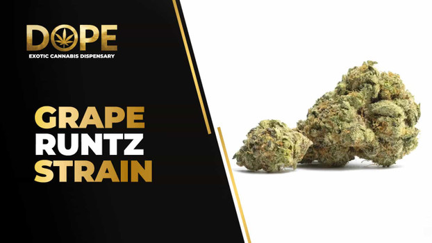 Grape Runtz Strain Review | Sweet Grape Flavor & Effects