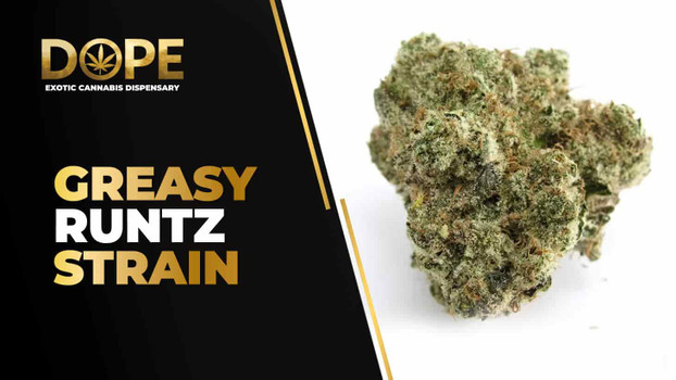 Greasy Runtz Strain Review | Sweet Gas Flavor & Effects