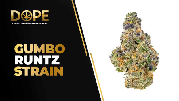 Gumbo Runtz Strain Review | Candy Gas & Relaxing Effects