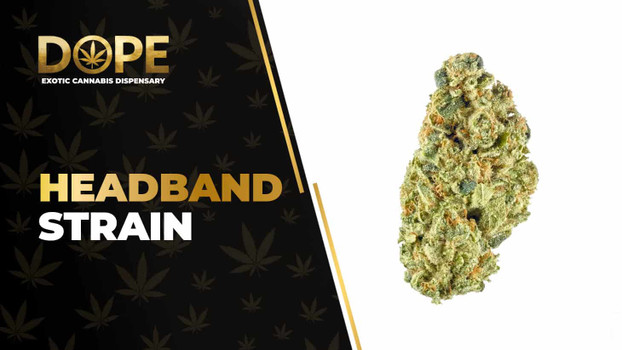 Headband Strain Review: Effects, Flavor & THC Guide
