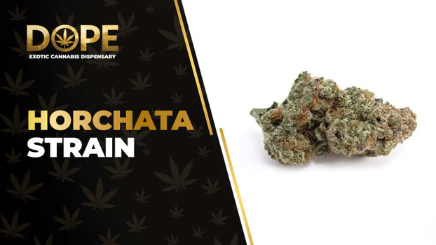 Horchata Strain: Flavor, Effects, Genetics & THCA Flower