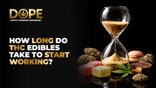 How Long Do THC Edibles Take to Start Working? 