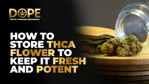 How to Store THCA Flower to Keep It Fresh and Potent