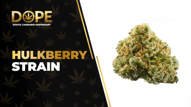 Hulkberry Strain Review: Flavor, Effects & THC Guide