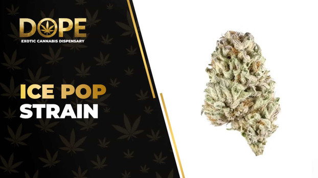 Ice Pop Strain Review: Citrus Flavour & Relaxing Effects
