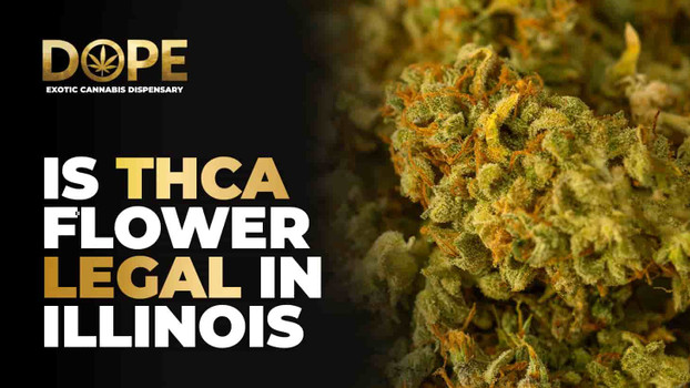 Is THCA Flower Legal in Illinois? 2025 Law & Risks Update