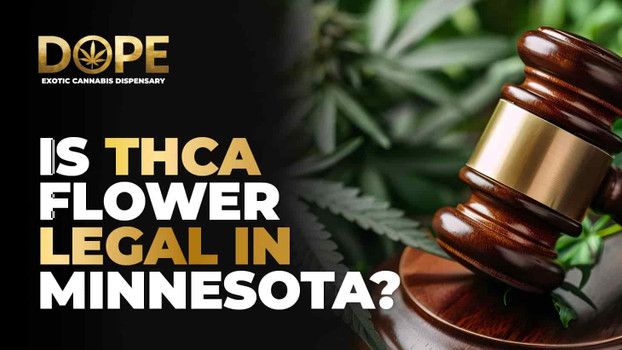 Is THCA Flower Legal in Minnesota? Laws & Buying Guide