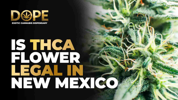 Is THCA Flower Legal in New Mexico? Laws & Regulations