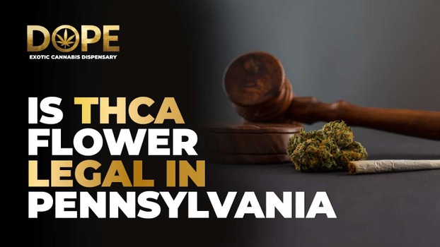Is THCA Flower Legal in Pennsylvania? 2025 Guide & Insights