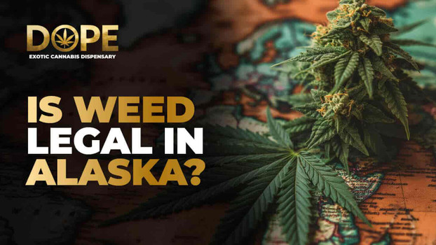 Is Weed Legal in Alaska? Laws, Use, Taxes & Reforms