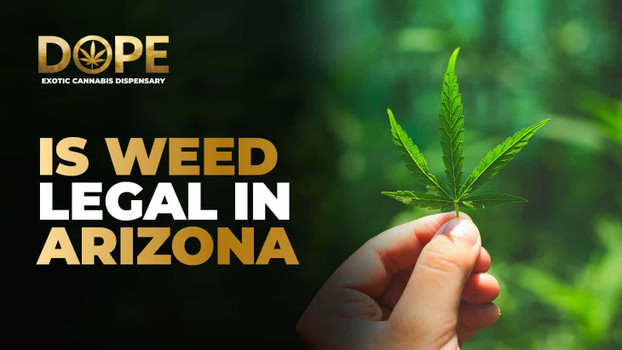 Is Weed Legal In Arizona? Laws, Limits, and Penalties