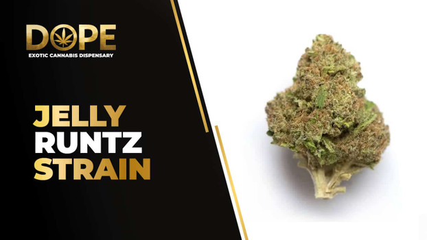 Jelly Runtz Strain Review: Effects, Flavor & THC Guide Info