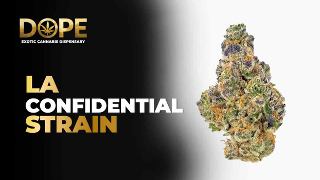LA Confidential Strain Guide 2025: Effects, Terpenes & Uses