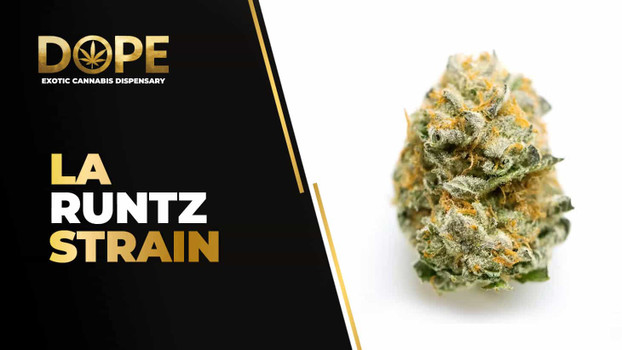 LA Runtz Strain Effects, Flavor Profile & Potency Guide