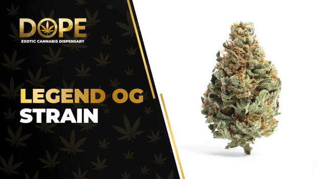 Legend OG Strain Review: Effects, Flavor & THC Guide