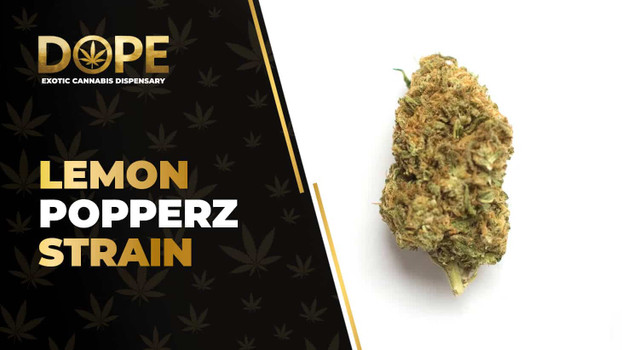 Lemon Popperz Strain Review: Flavor, Effects & Potency