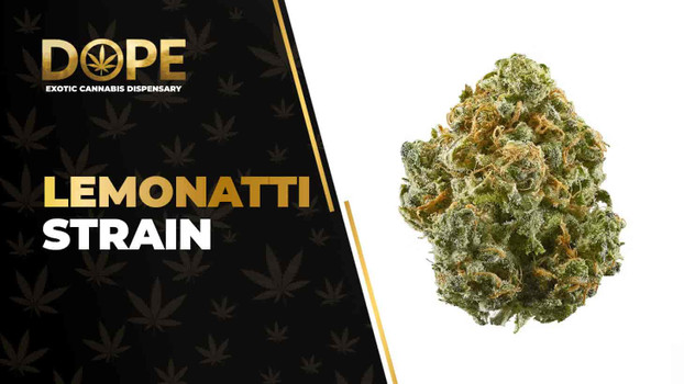 Lemonatti Strain Review: Citrus Flavor & Potent Effects