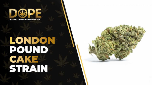 London Pound Cake Strain: Flavor, Effects & Review