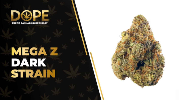 Mega Z Dark Strain Review: Fruity Flavour & Effects