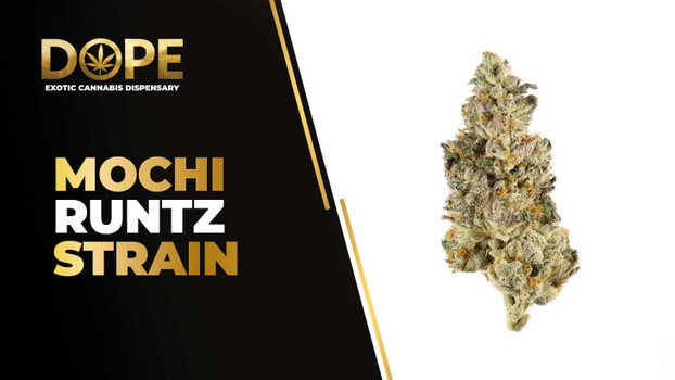 Mochi Runtz Strain Review | Creamy Flavor & Effects