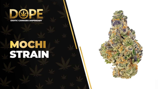 Mochi Strain Review: Flavor, Effects & Growing Guide