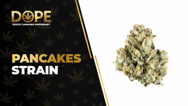 Pancakes Strain: Sweet Flavor, Effects & Hybrid Genetics