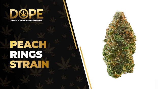 Peach Rings Strain Review: Sweet Flavor & Hybrid Effects