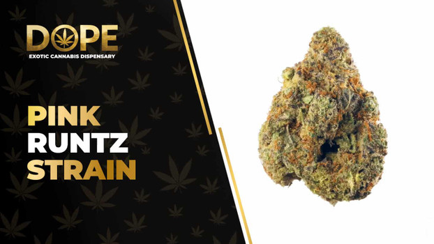 Pink Runtz Strain Review: Flavor, Effects & Potency