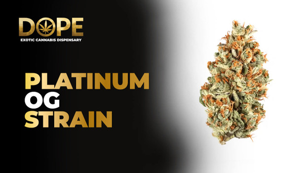 Platinum OG Strain Review and Info | Dope