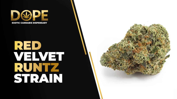 Red Velvet Runtz Strain Review: Creamy Hybrid High