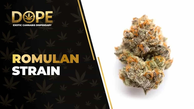 Romulan Strain Review: Earthy Flavour & Relaxing Effects