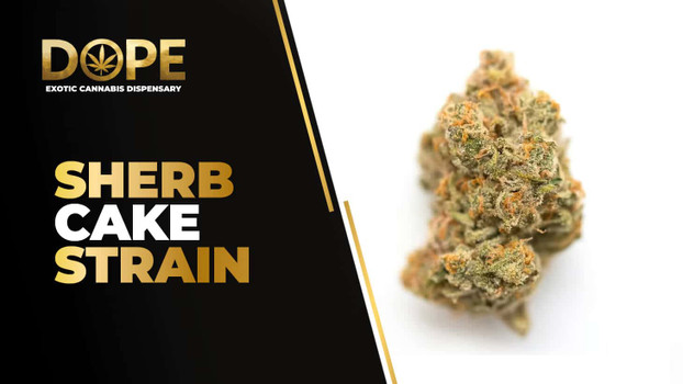 Sherb Cake Strain Review | Creamy Flavor & Effects