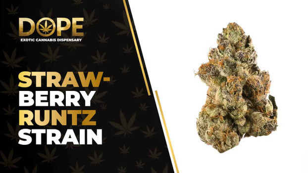 Strawberry Runtz Strain Review: Sweet Berry Hybrid High