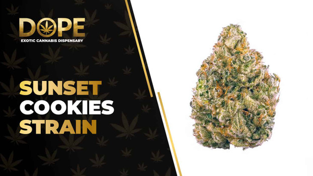 Sunset Cookies Strain Review: Flavor, Effects & THC Levels