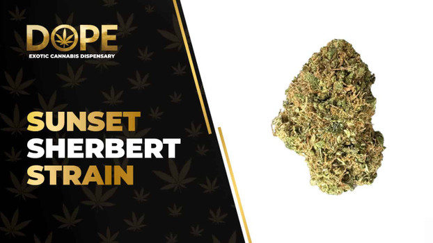 Sunset Sherbet Strain Review: Flavor, Effects & Potency