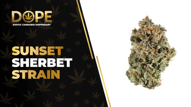 Sunset Sherbet Strain Review: Flavor, Effects & Info