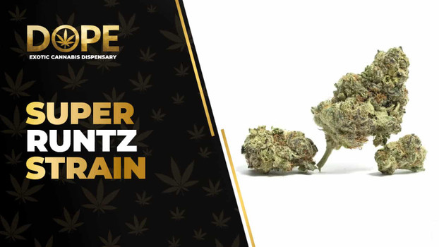 Super Runtz Strain Review: Candy Gas & Potent Hybrid