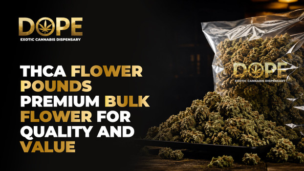 THCA Flower Pounds Premium Bulk Flower for Quality and Value