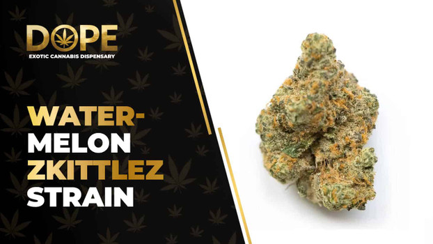Watermelon Zkittlez Strain Review | Sweet Hybrid Effects