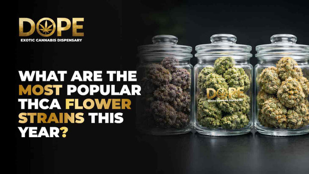 What are the most popular THCA flower strains this year?