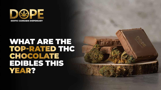 What are the top-rated THC chocolate edibles this year?