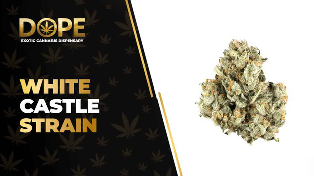 White Castle Strain: Effects, Flavor & THCA Flower