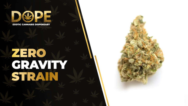 Zero Gravity Strain Review: Flavor, Effects & THC