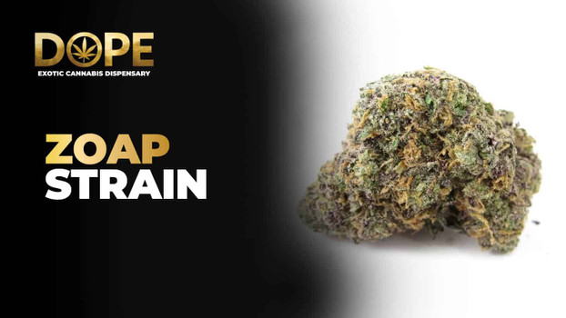 Zoap Strain Review | Sweet Floral Flavor & Balanced Effects