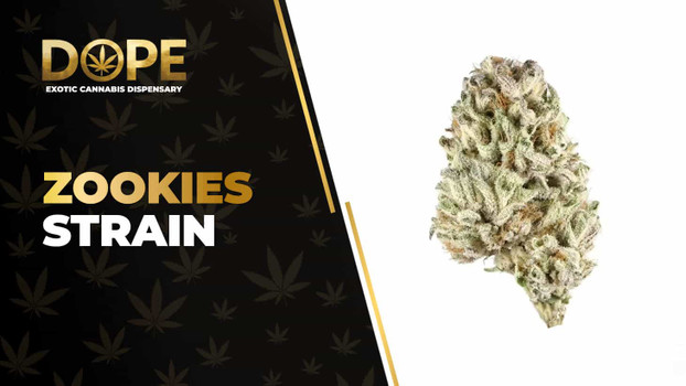 Zookies Strain Review: Flavor, Effects & Growing Guide