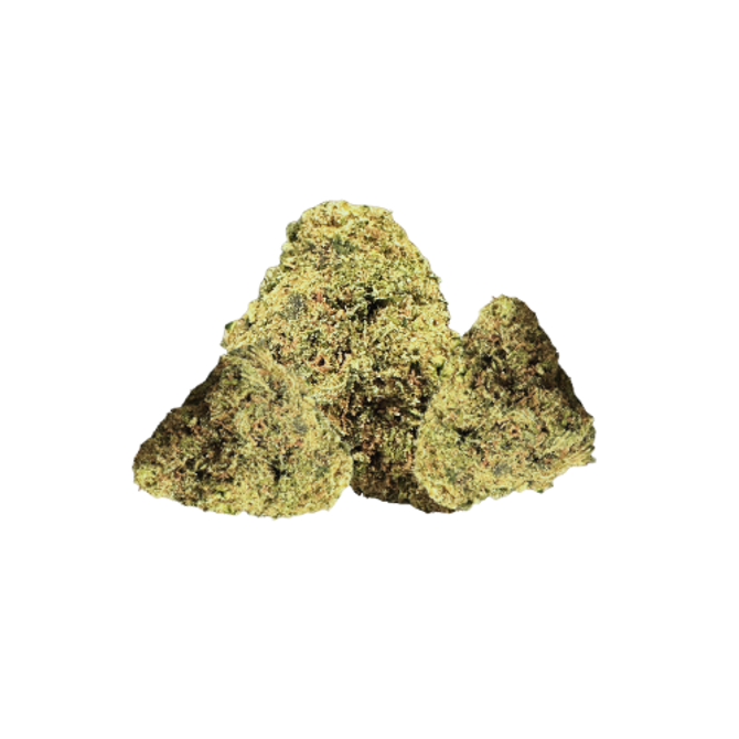 Close-up of Bubblegum Runtz THCA flower bud